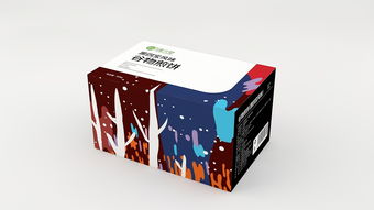 食品包裝設(shè)計(jì) 連接味蕾與心靈的視覺橋梁